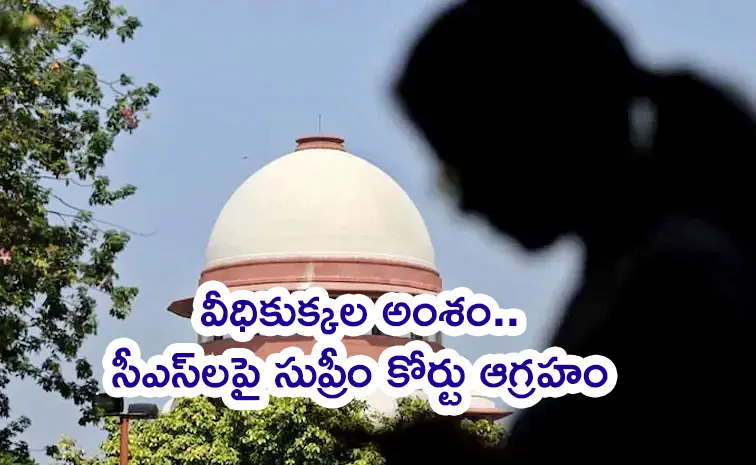 నిద్రపోతున్నారా?.. మా ముందుకు రావాల్సిందే!