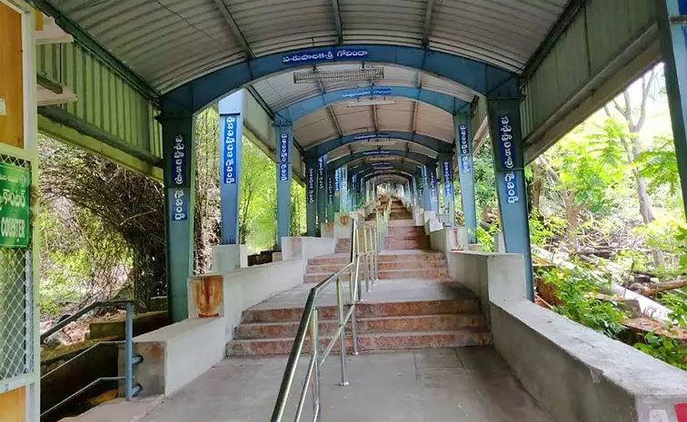 తిరుపతి శ్రీవారి మెట్టు మార్గంలో చిరుత కలకలం