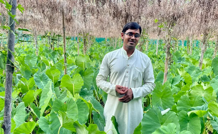 పంట పొలాలకు బాలీవుడ్ పాటలు వినిపిస్తాడు!