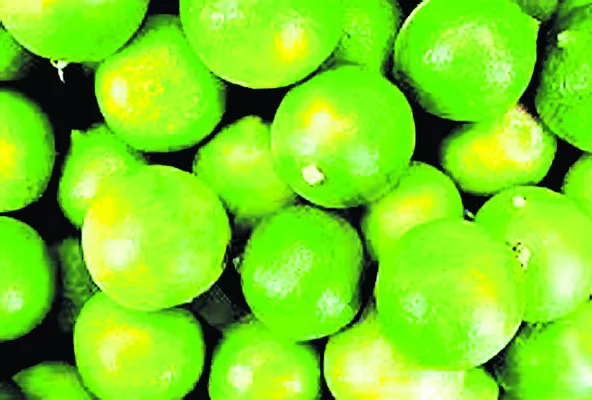 ఖాళీ స్థలంలో పేకాట