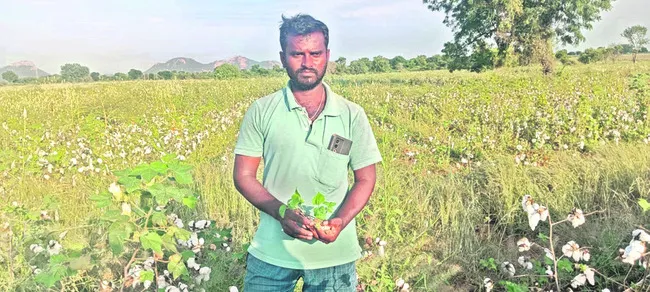 రైతన్నకు కన్నీరే దిక్కు!