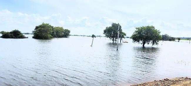 నీట మునిగిన ఆశలు!