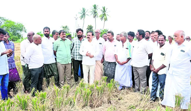 చంద్రబాబు రైతు ద్రోహి 