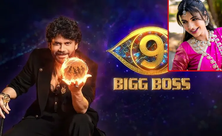 Bigg boss 9 telugu wild card entry details