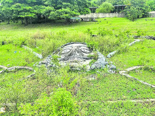 ఎండిపోయిన మొక్కలు