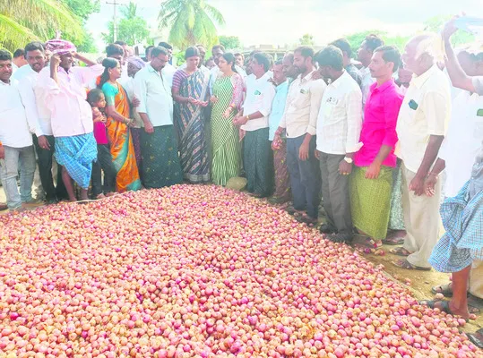 ఉల్లి రైతుల గోడు పట్టదా బాబూ?
