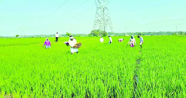 పర్యా