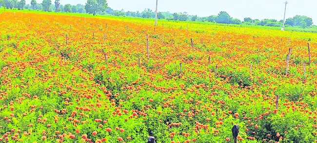 రైతుల