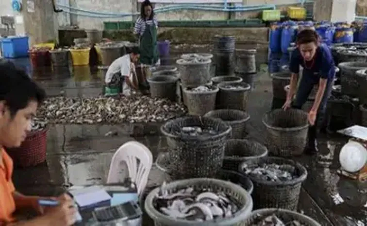 Fisheries sector acknowledged as a Sunrise Sector