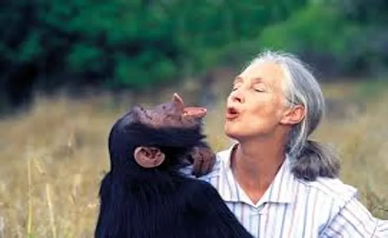 conservationist chimpanzee champion Jane Goodall passed away
