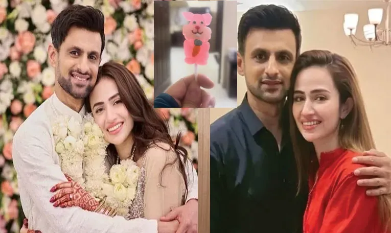 Shoaib Malik And Sana Javed breaks silence on Their divorce rumours