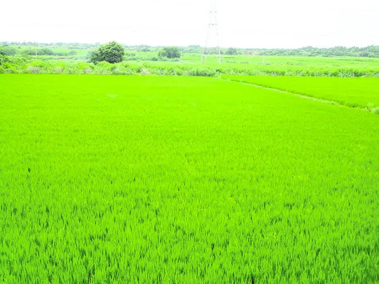 వరుణుడి కటాక్షం