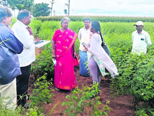 సా...గుతున్న ఈ–క్రాప్‌ 