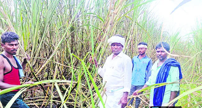 ప్రమాదంలో  అక్కాతమ్ముడు దుర్మరణం