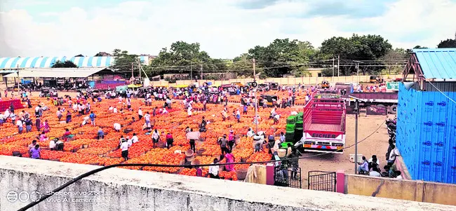 ‘గంపె