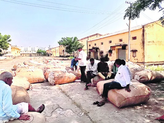 పత్తి రైతుకు శఠగోపం