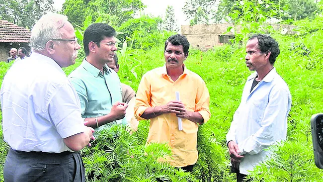 ప్రకృతి ఆధారిత వ్యవసాయంతో ఆర్థికాభివృద్ధి
