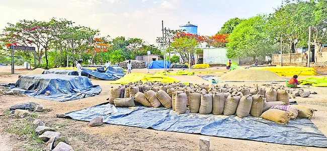 సన్నాలకు బోనస్ సున్నా