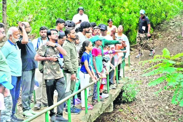 జూలో 