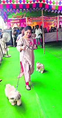 అలరించిన పెట్‌ షో