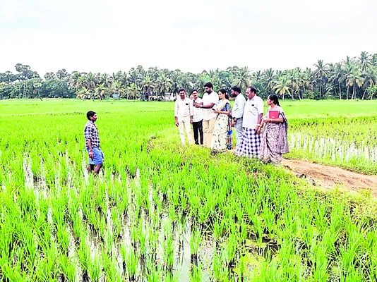 ఈ–తంటా..!