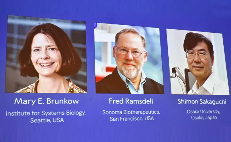 Nobel prize 2025 Medicine Award winners