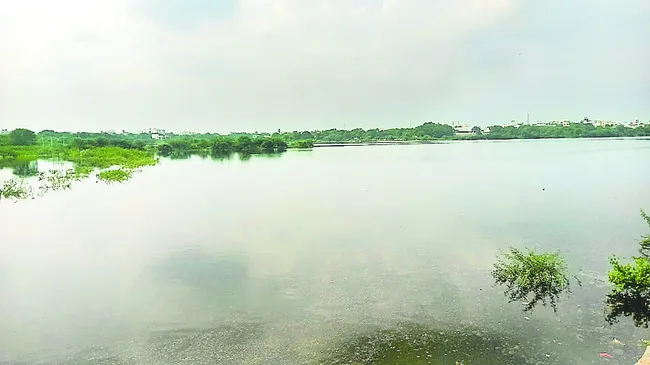 ‘మీన’మేషాలు!