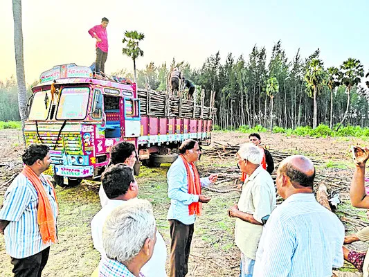 కోర్ట