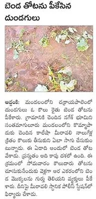 రాష్ట