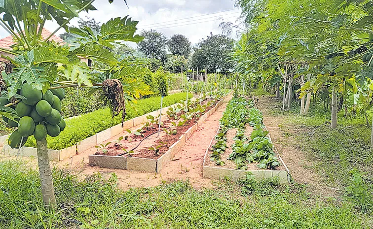 sagubadi: Practical agricultural training for youth