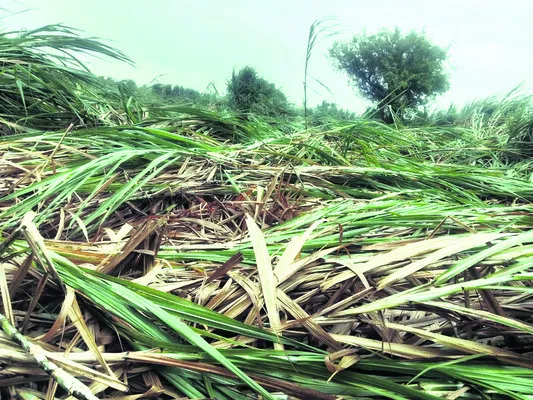 రైతన్నకు తప్పని ఎదురు చూపులు