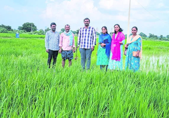 పంటల్లో తెగుళ్ల నివారణపై అవగాహన