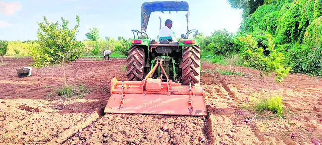 పంటకో