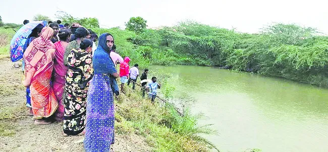 వాల్మ