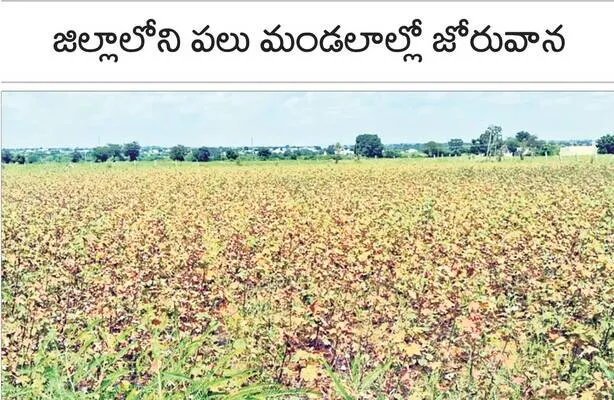 రైతు 