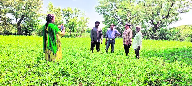 శ్రీవారి దర్శనానికి  20 గంటలు 
