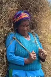 Foreigner awestruck as Pahadi woman lifts 40 kg grass bundle with ease