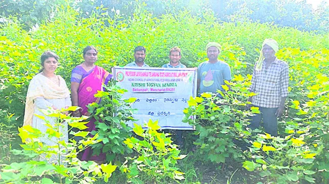 నాణ్యమైన విత్తనాలతో అధిక దిగుబడి