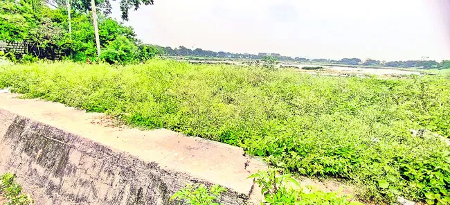 కట్టమ