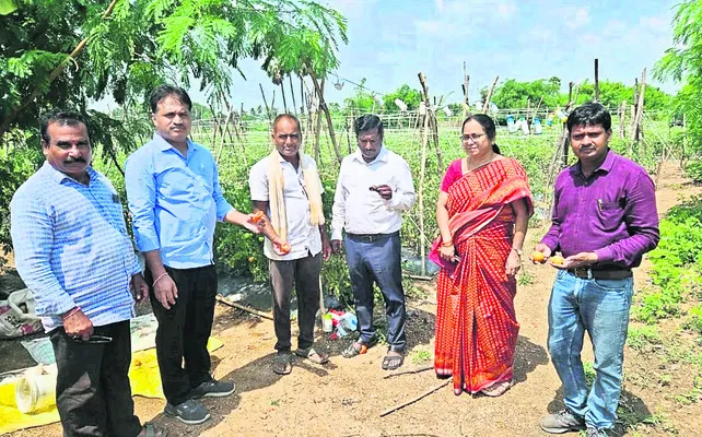 ఆఫ్రి