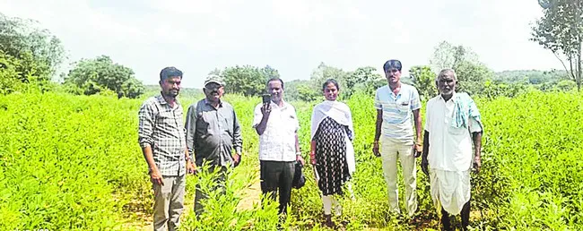 పంటల నమోదు తప్పనిసరి