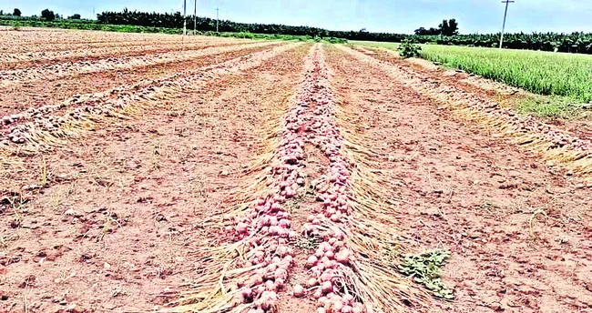 చేతిక