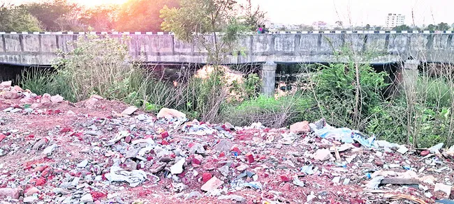 సర్వే నంబర్ల మాయాజాలం