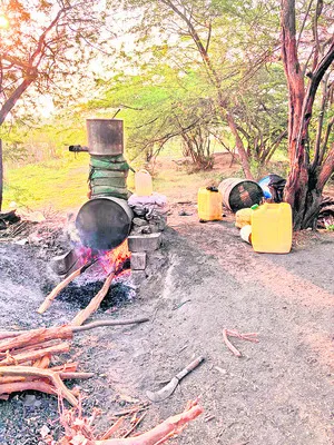 ‘నవోదయం’ నగుబాటు!