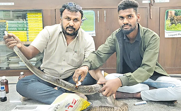 కరెంట్‌ షాక్ నుంచి పాముని కాపాడారు!