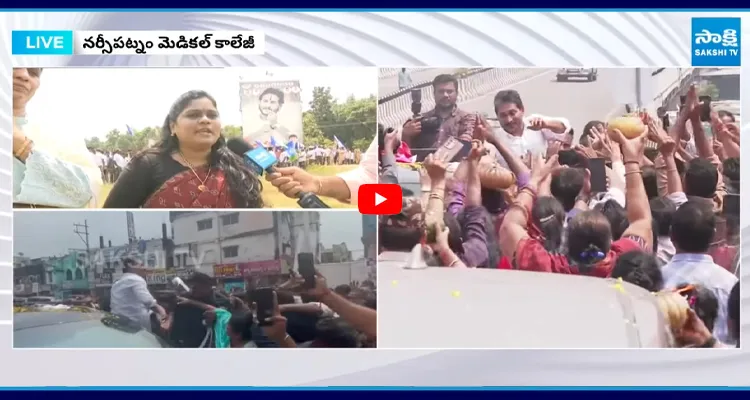 పులివెందుల పులి వస్తుంది పిల్లులు ఎక్కడ దాక్కున్నాయి?