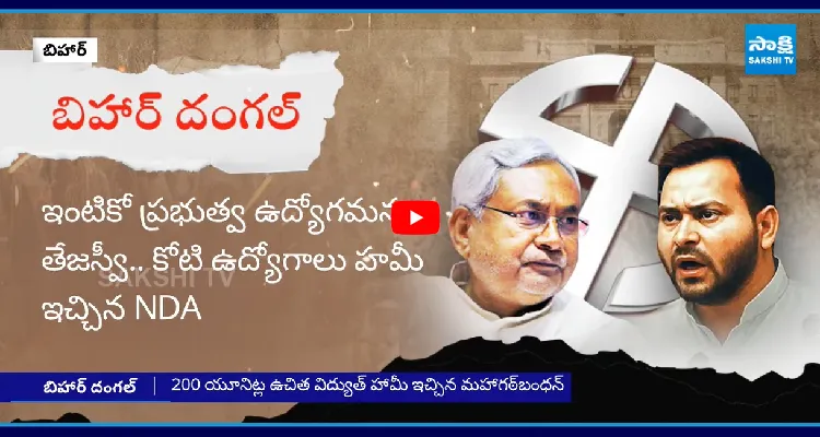 తలరాతలు మార్చేస్తామంటున్న రాజకీయ పార్టీలు..?