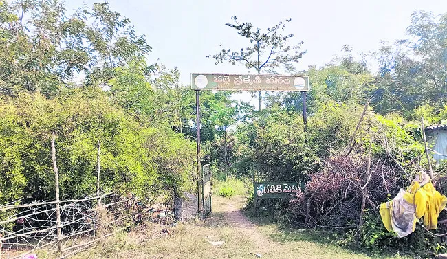 పల్లె పాలన... పడేనా గాడిన?