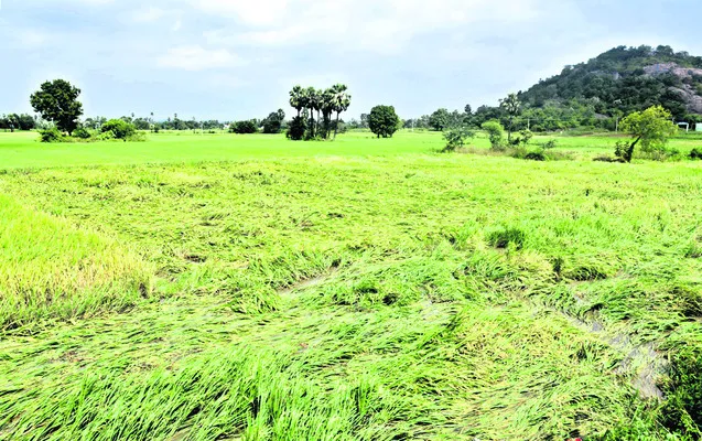 వరద నష్టం రూ.200కోట్లు