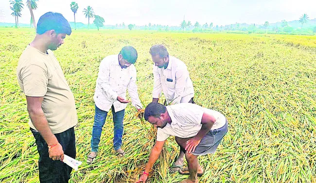 తప్పు ఒప్పుకున్న టీడీపీ నేత